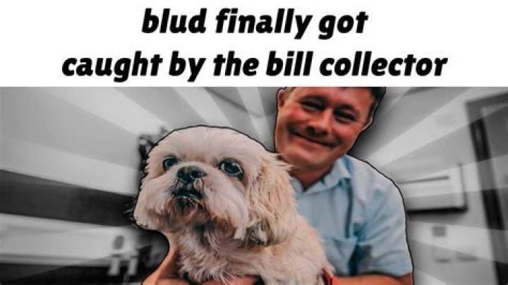 Bills Meme: Understanding the Hilarious Internet Phenomenon