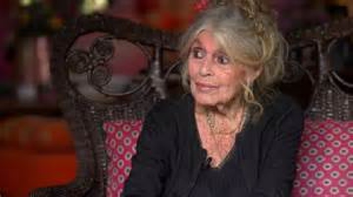 Bridget Bardot's Son: A Deep Dive into the Life of Nicolas Bardot