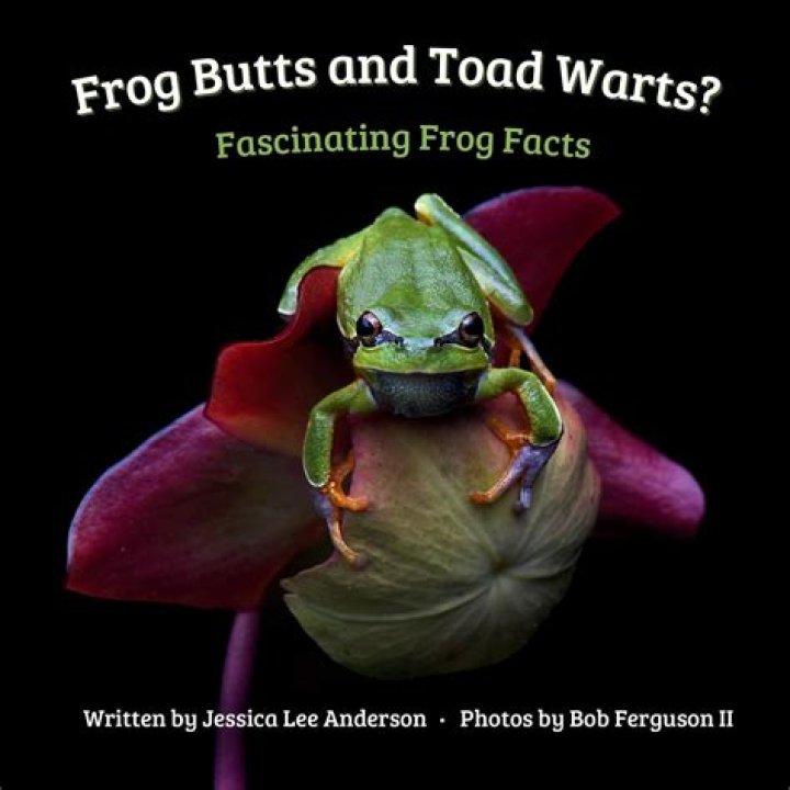 The Fascinating World of Frog Butts: Nature's Unique Adaptations