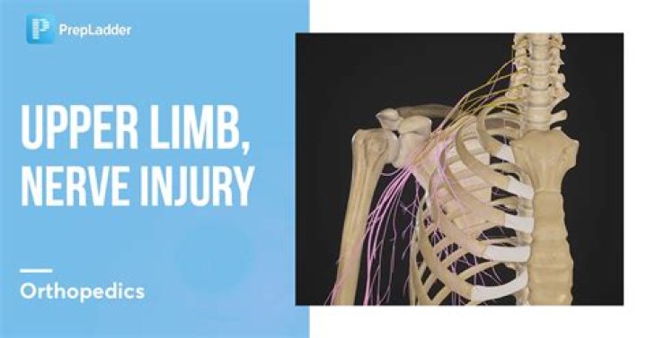 Understanding the Jersey Jon Limp Injury: A Deep Dive
