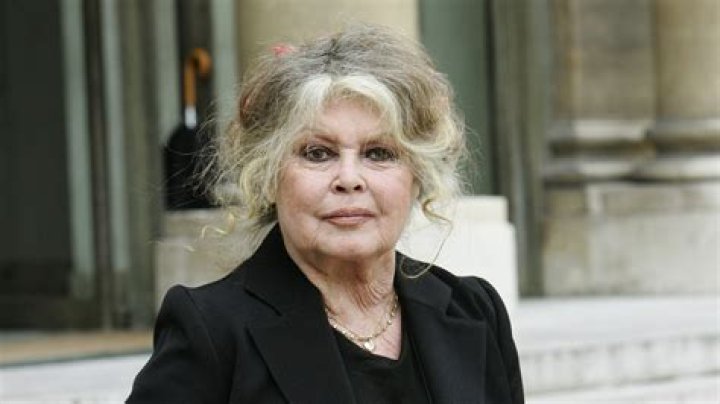 Unveiling the Life of Brigitte Bardot's Son: Where Is He Now?
